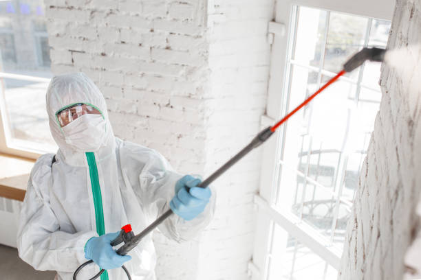 Reliable New Providence, NJ Mold Inspection, Removal & Remediation Solutions